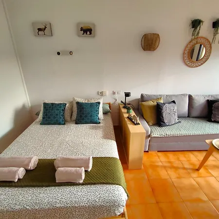 Studio In The Center Of With Terrace Daire